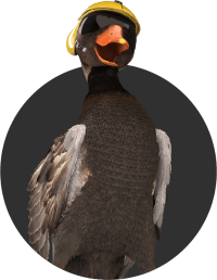 Conseils, guides & tutos