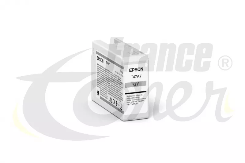 Cartouche d'encre EPSON T47A7 (C13T47A700) - GR...
