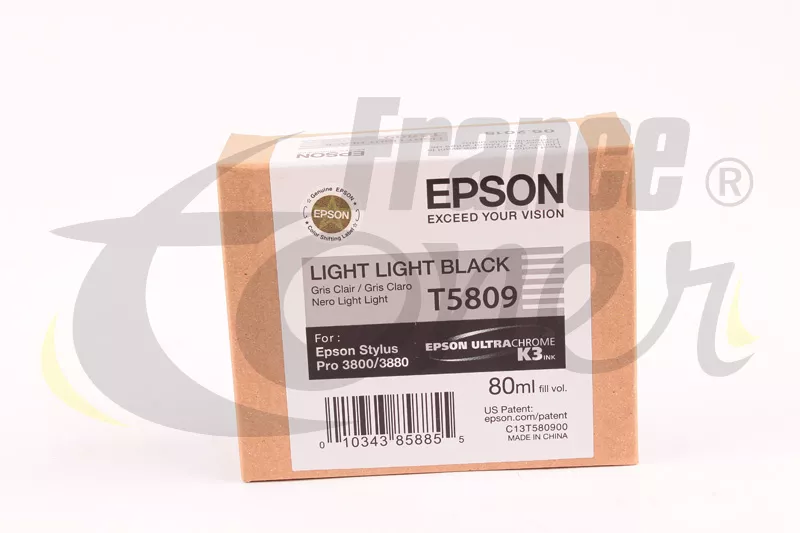 Cartouche d'encre T5809 (C13T580900) - GRIS CLAIR