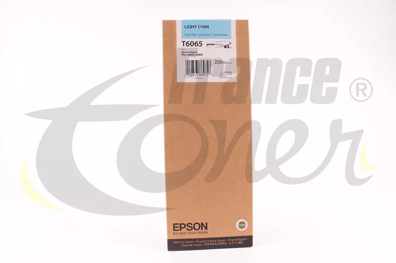 Cartouche d'encre  (T6065) - CYAN CLAIR