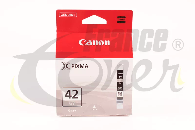 Cartouche d'encre CANON 42 (6390B001) - GRIS -...