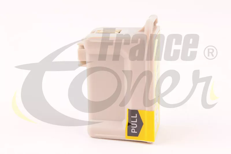 Cartouche d'encre FranceToner équivalent à EPSON T040 Série pots de peinture (C13T040140) - NOIR - Format Standard