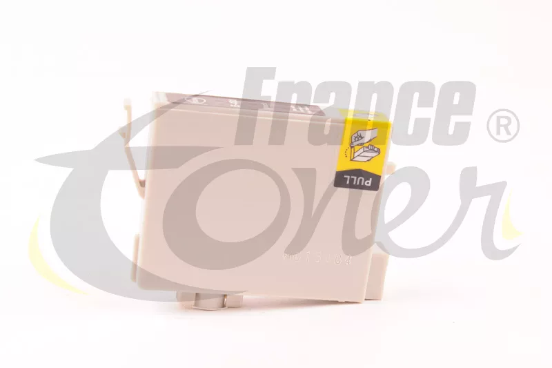 Cartouche d'encre FranceToner équivalent à EPSON T0481 Série Hippocampes (C13T048140) - NOIR - Format Standard