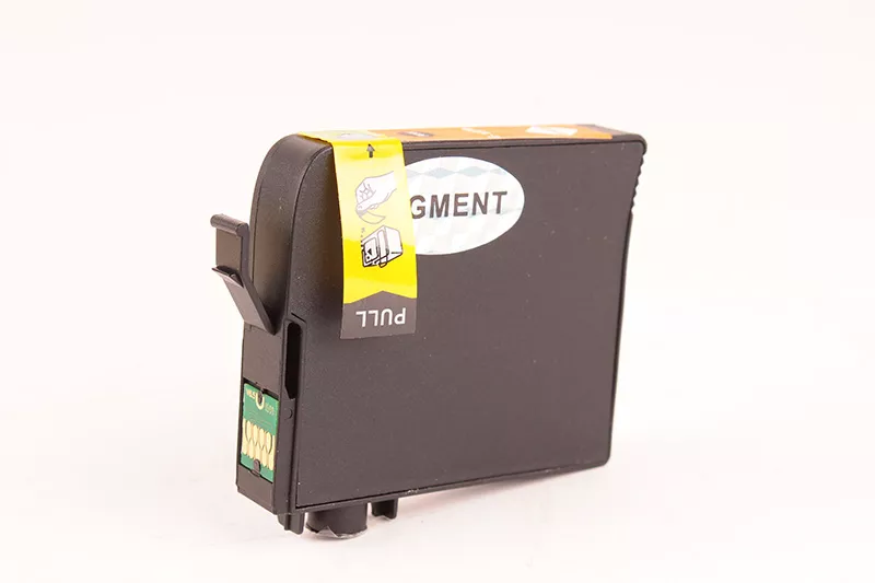 Cartouche d'encre FranceToner équivalent à EPSON T1599 Série Martin-pêcheur (C13T15994010) - ORANGE - Format Standard