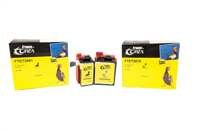 Pack de 2 cartouches d'encre FranceToner équivalent à EPSON 266 267 Série Globe terrestre (C13T2661_T2670) - 4 COULEURS - Format Standard