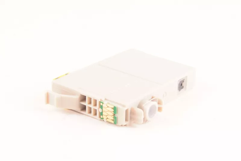 Cartouche d'encre FranceToner équivalent à EPSON 29XL série fraise (C13T29914012) - NOIR - Format XL