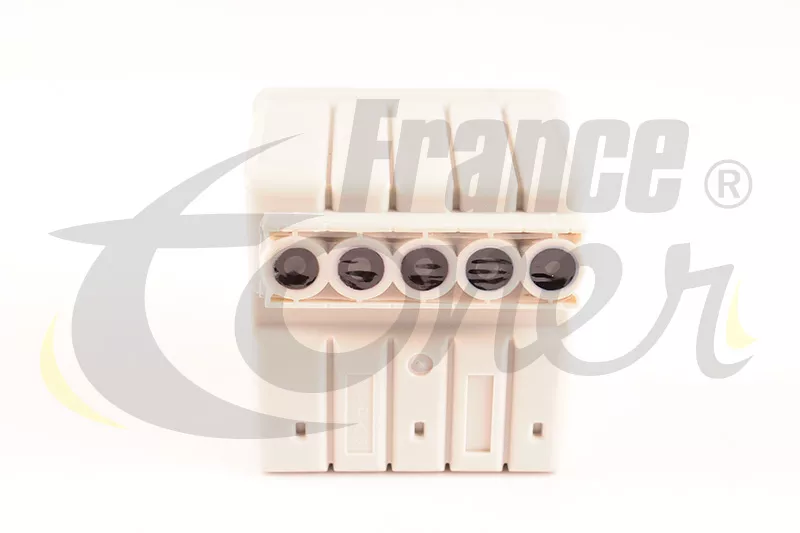 Cartouche d'encre générique équivalent à EPSON T0530 Série Coccinelle (C13T053040) - 5 COULEURS - Format Standard