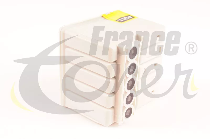 Cartouche d'encre générique équivalent à EPSON T0530 Série Coccinelle (C13T053040) - 5 COULEURS - Format Standard