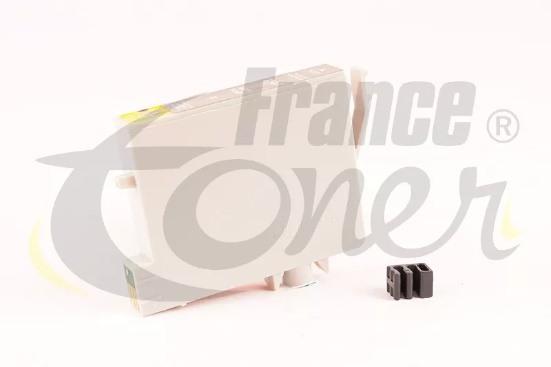 Cartouche d'encre générique équivalent à EPSON T0597 Série Lys (C13T059740) - GRIS - Format Standard