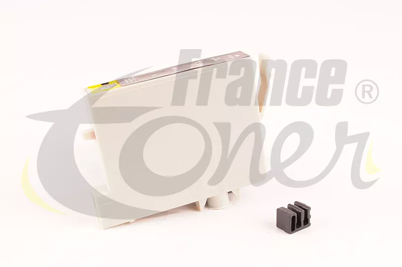 Cartouche d'encre générique équivalent à EPSON T0598 Série Lys (C13T059840) - NOIR - Format Standard