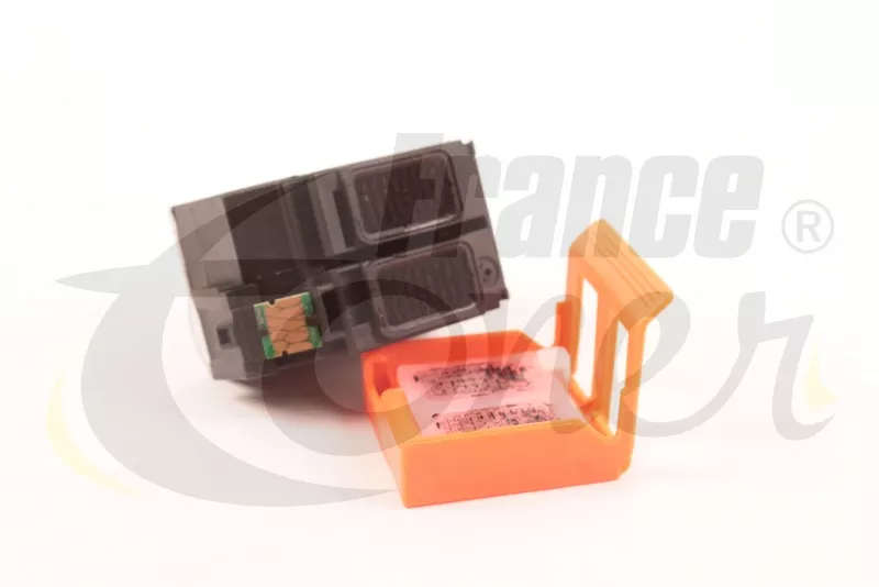 Cartouche d'encre générique équivalent à EPSON 202XL Série Kiwi (C13T02G14010) - NOIR - Format XL